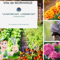 La nature agit, l'homme fait : Semaine 15