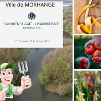 La nature agit, l'homme fait : Semaine 17